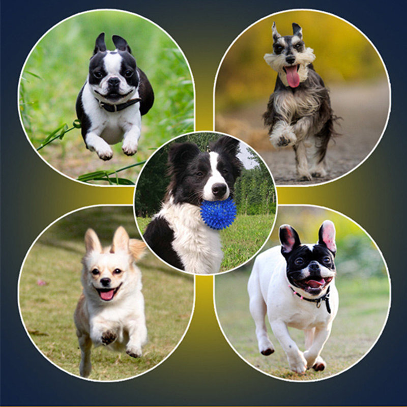 Como reduzir o poder destrutivo DOS cães