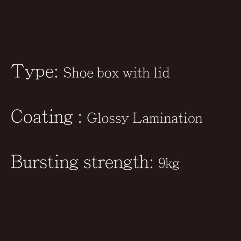 Caixa de sapato com tampa tipo1