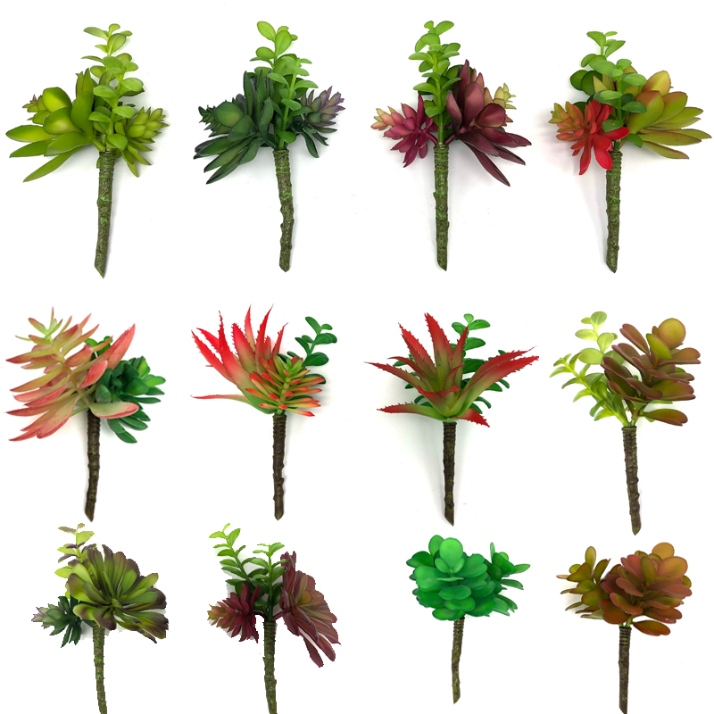As plantas suculentas artificiais escolhem o cacto verde das decorações do falso