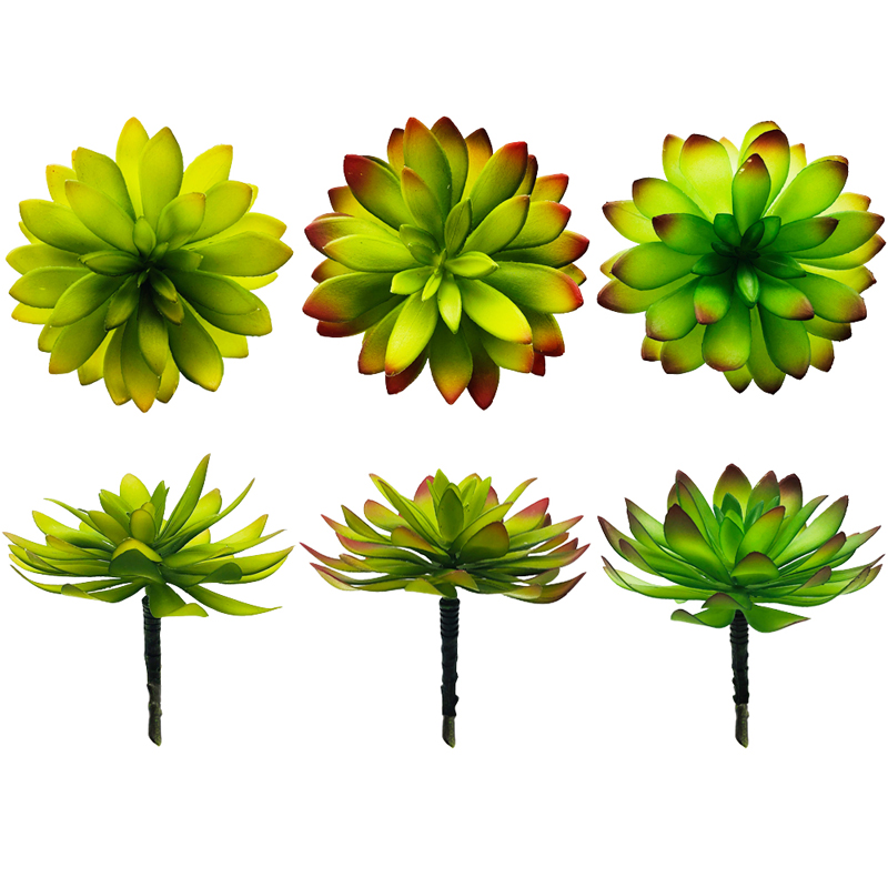 As plantas suculentas artificiais escolhem o cacto verde das decorações do falso
