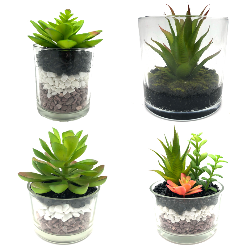 Plantas suculentas artificiais com o vaso decorativo da exposição do globo do tabletop de vidro