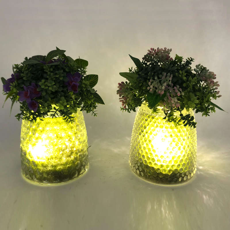 Plantas suculentos artificiais decorativas do Tabletop de vidro do diodo emissor de luz com o vaso da exposição do globo