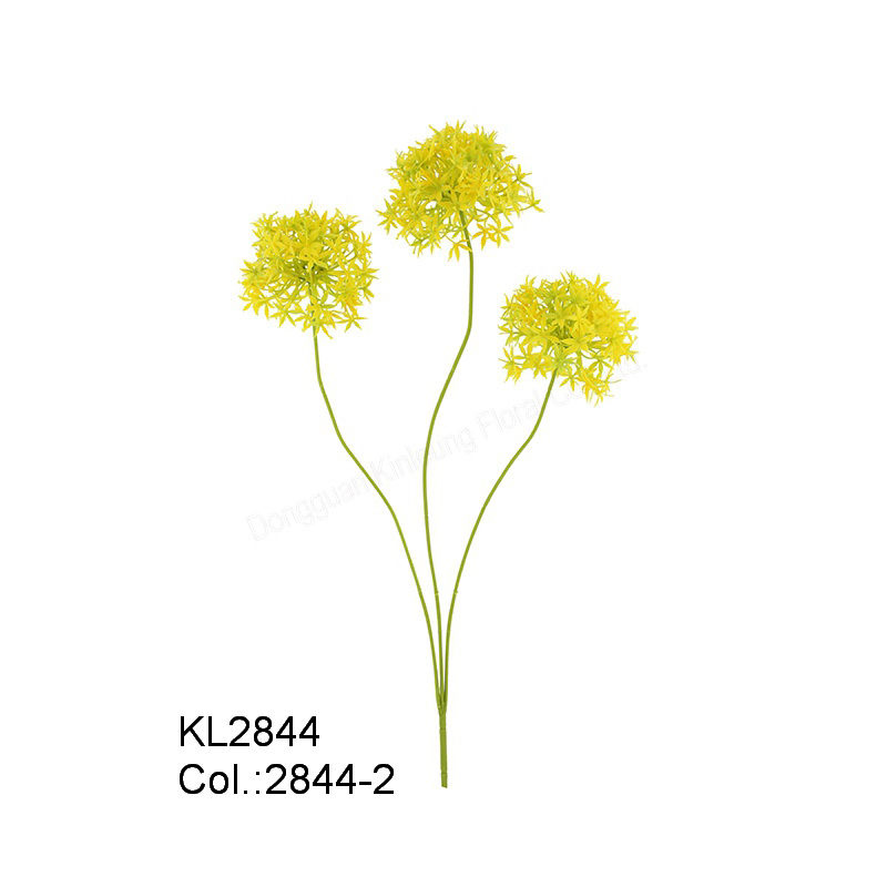 64cm Allium x 3 COM Dicas
