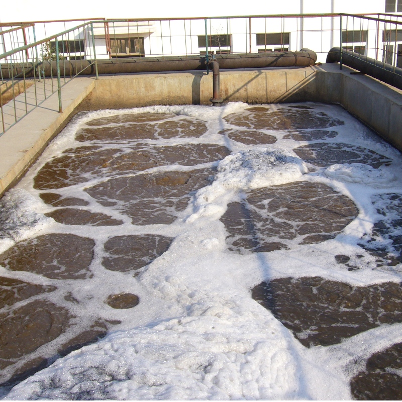 Processo de tratamento de águas residuais da destilaria