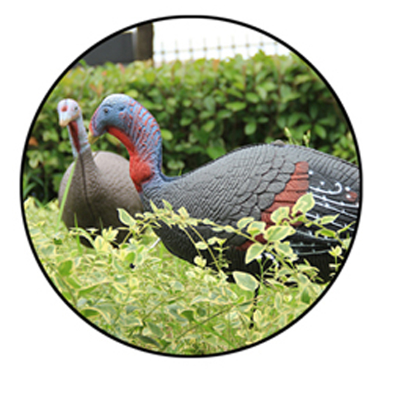 Feliz dia de ação de graças