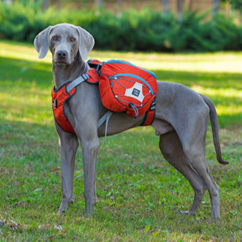 Novo Design Reflexivo Roupas De Cão Com Arnês Quente Grande Animal de Estimação De Venda Windbreaker Winter Dog Jacket