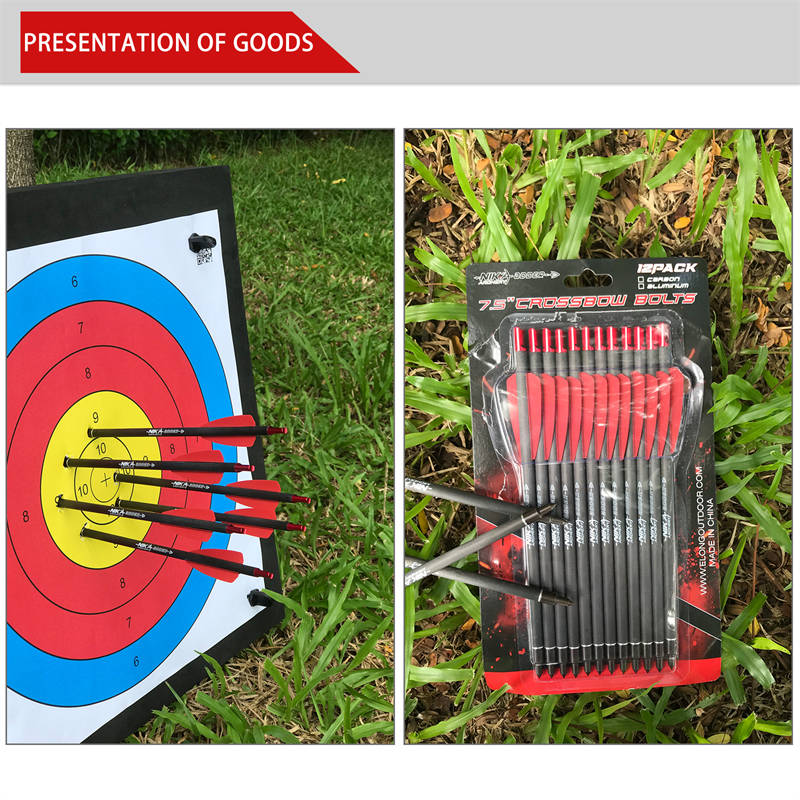 Broadhead vs Fieldpoint Cobra R9 Adder Crossbow Arrow parafusos