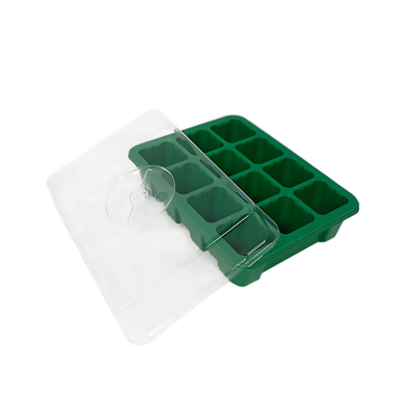 Plástico PS Mini Green House Seed Bory