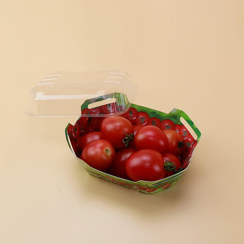 Caixas de papelão plástico personalizadas para contêiner de embalagem de punnet de frutas com tampa