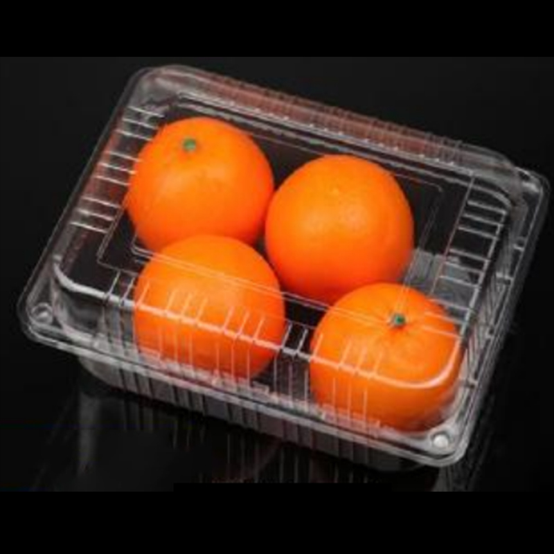 Caixa de frutas com tampa 235*170*90 mm hgf-54c