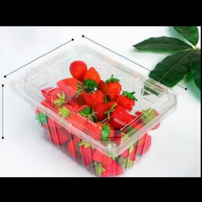 Caixa de frutas com tampa 210*155*100 mm HGF-950A