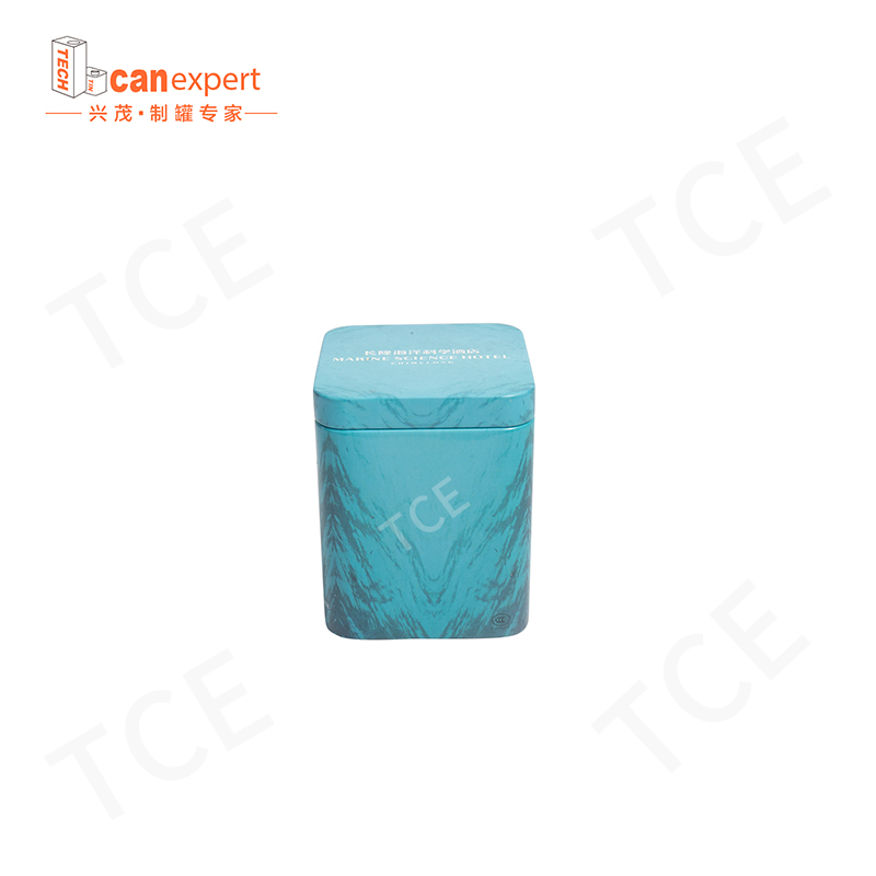 TCE-New Design Tin Gift Box Packaging latas de embalagem de 0,28 mm