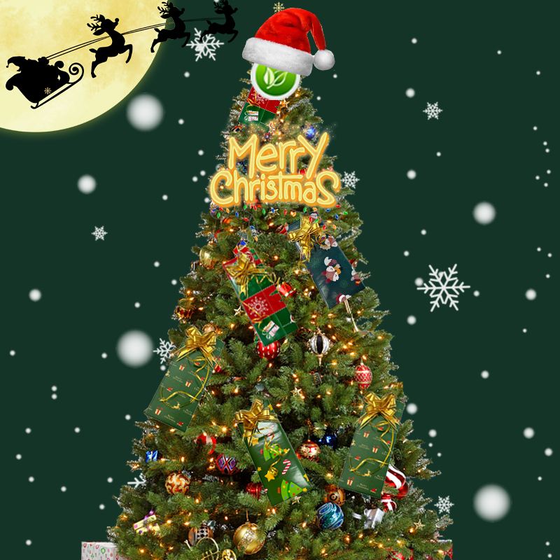 Uma carta de bênção sincera de Tuoye