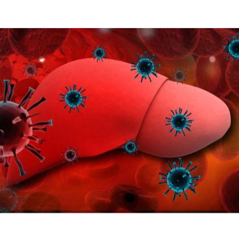Universidade de Parma: NMN melhora a hepatite crônica B
