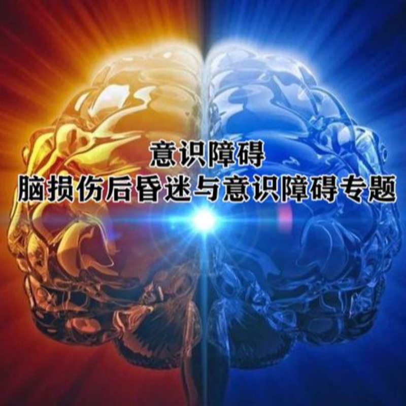 NMN repara lesão cerebral traumática