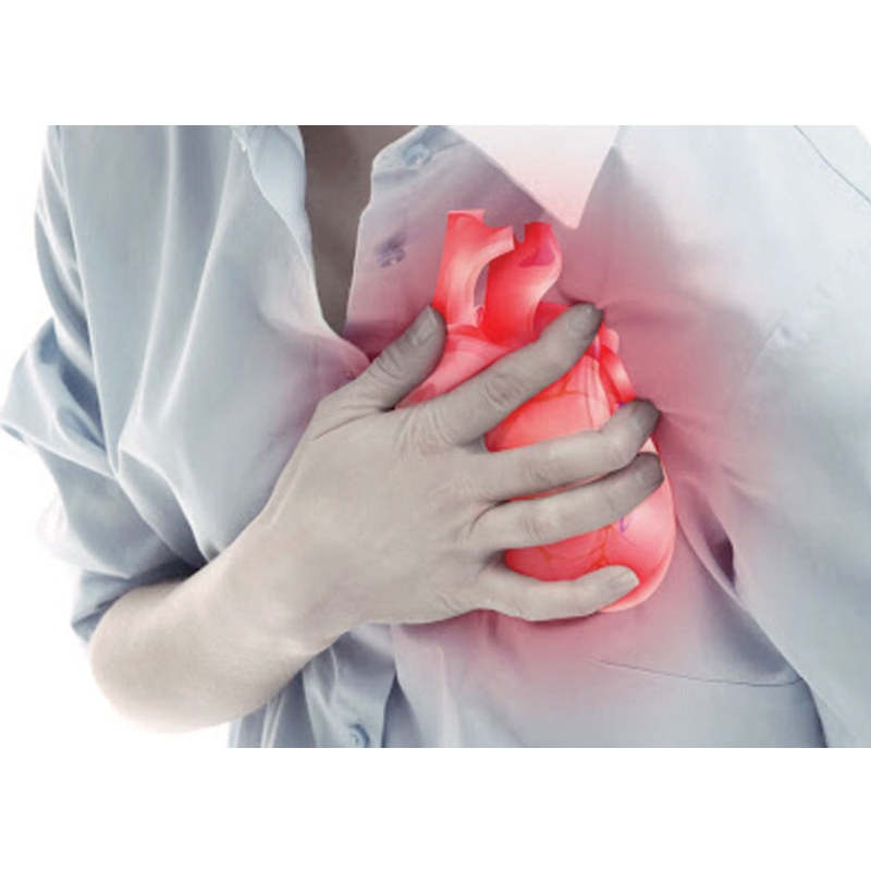 Universidade Médica de Nanjing: NMN melhora o infarto do miocárdio