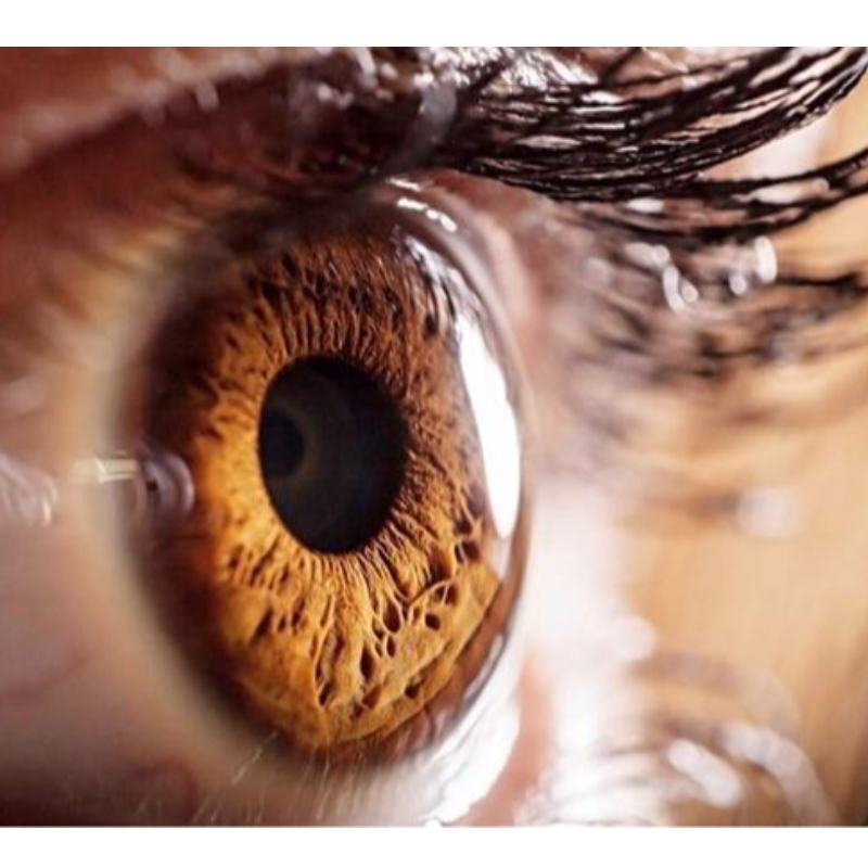 Universidade de Washington: NMN é essencial para manter a visãona velhice