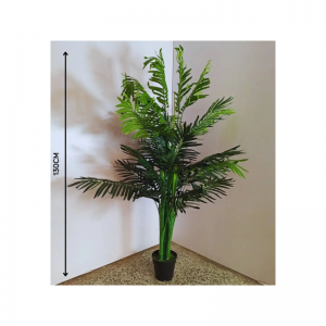 Plantas Bácicas