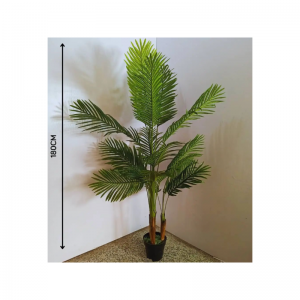 Plantas Bácicas