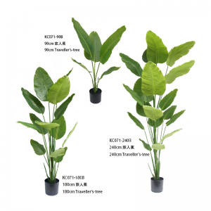 Árvore dos viajantes